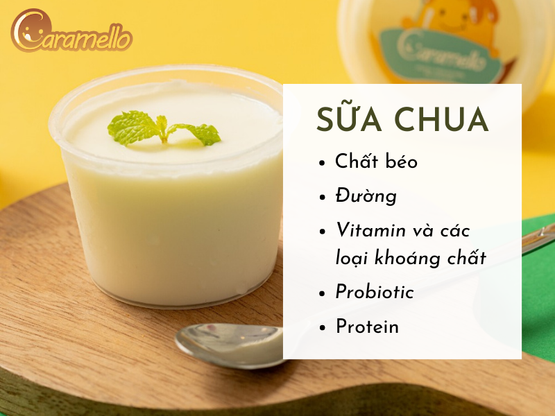 thành phần dinh dưỡng của sữa chua 