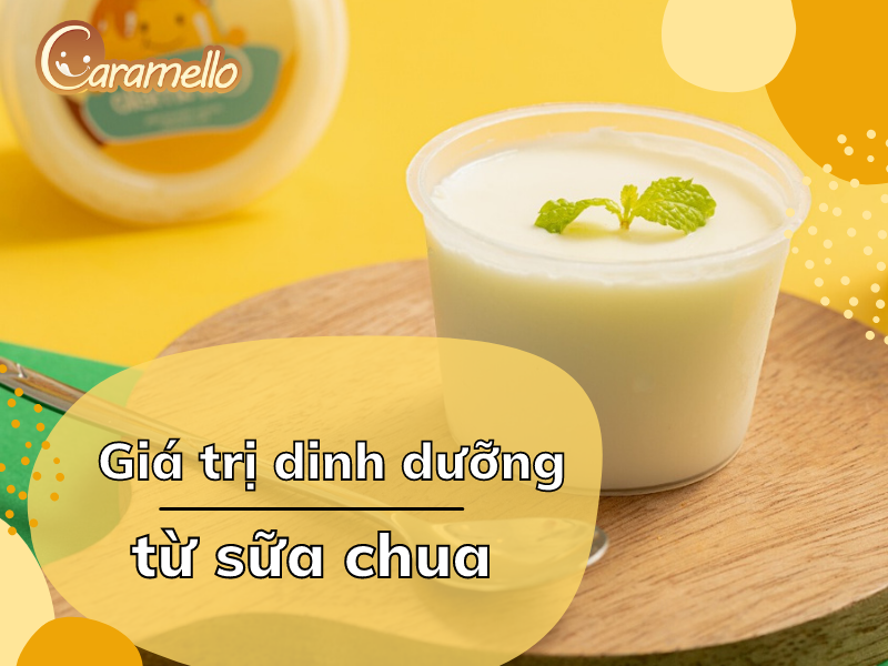 Giá trị dinh dưỡng từ sữa chua