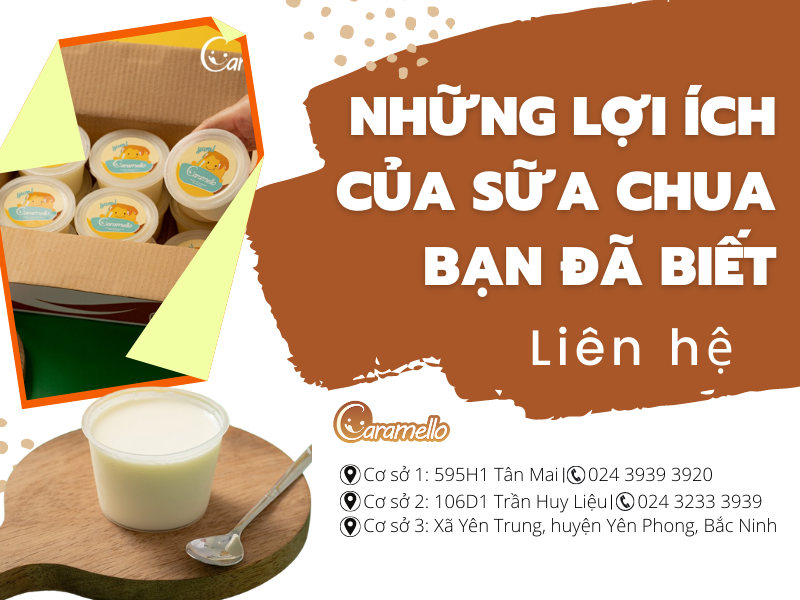 Những lợi ích của sữa chua