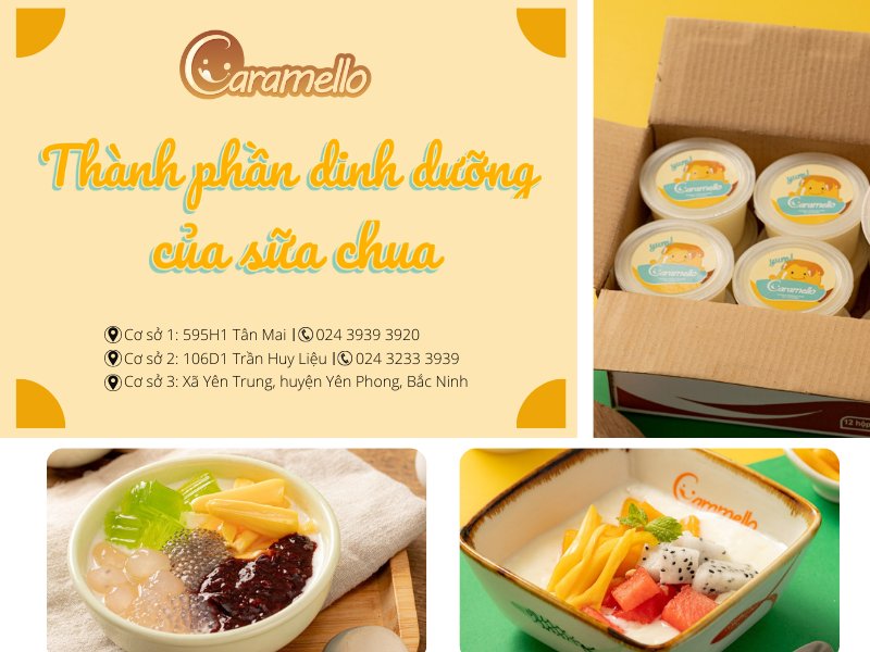 Thành phần dinh dưỡng của sữa chua 